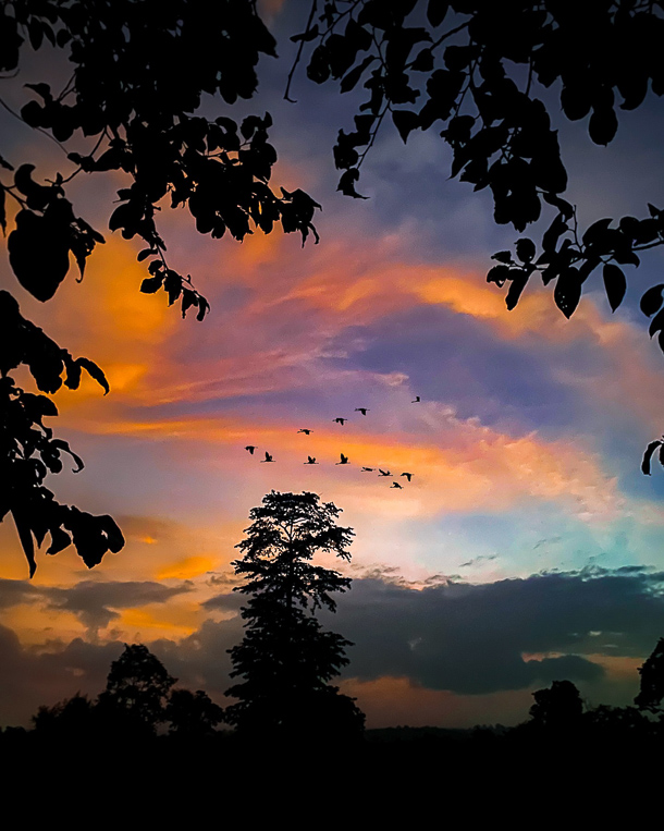 sunset